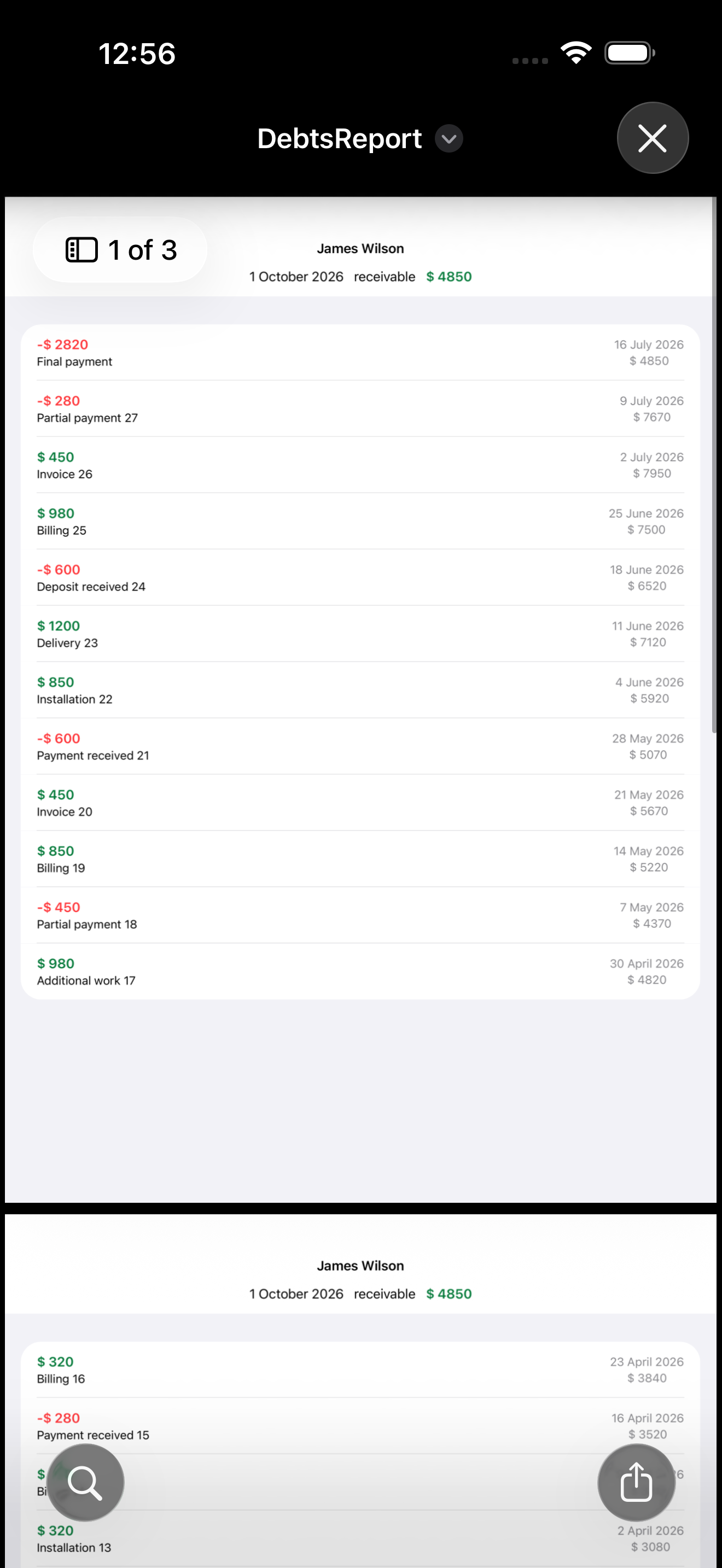 Client Ledger PDF report of client payment history